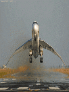 Funny Screensavers 0059